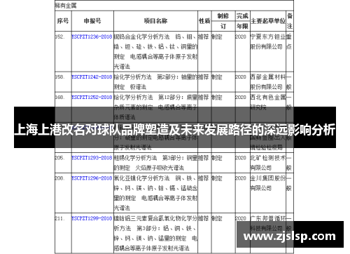 上海上港改名对球队品牌塑造及未来发展路径的深远影响分析